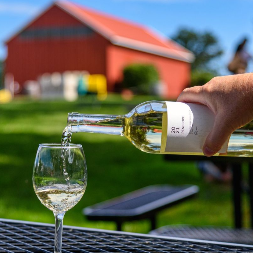 Sugarloaf Mountain Vineyard