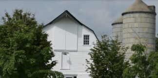 King Barn Dairy MOOseum Reopens May 2, 2026: Join the Fun!