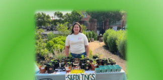 Harvesting Success: BUGS Youth Farmer’s Market Celebrates Student-Grown Fruits and Vegetables!