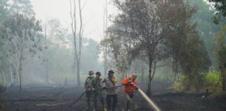 Alarming Predictions: El Niño’s Intense Heat May Lead to 500,000 Additional Deaths, Warns Expert Group – WTOP News