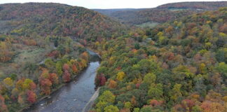 Discover Maryland’s Hidden Gem: One of America’s Top Fall Getaways!