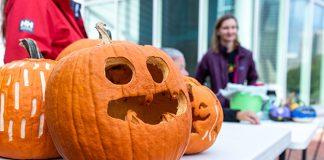 Don’t Miss This Weekend’s Exciting Events: ‘Psycho’ Concert, Pumpkin Smash Fest, and Billy Strings Live!