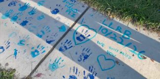 Tragic Loss: 14-Year-Old Severna Park High Student Dies in Robinson Road Accident