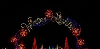 “Your Ultimate Guide to Gaithersburg’s Magical Drive-Thru Winter Lights Festival”